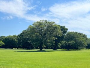 岐阜羽島のバードウォッチングゾーン