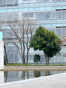 保護中: 大垣ソフトピアジャパン敷地内ロケーション